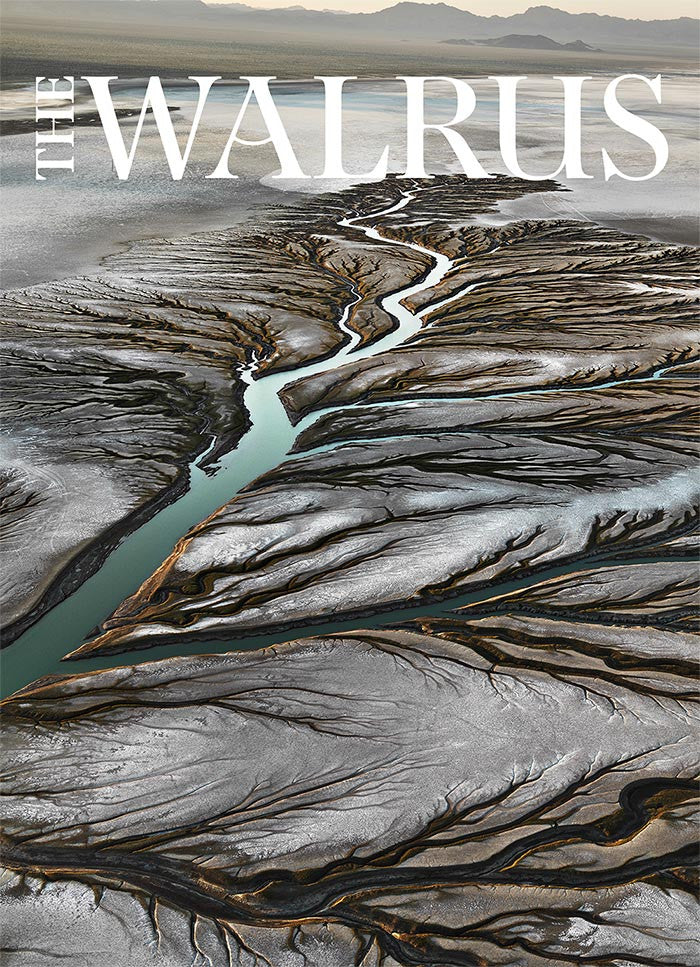 Water by Edward Burtynsky – The Walrus Store